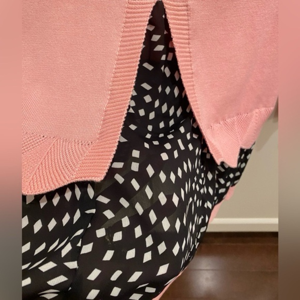 NWT KOREAN PINK SWEATER WITH GAUZY ALONG THE BOTTOM AND THIS AREA OPENS TO BACK - Picture 2 of 6